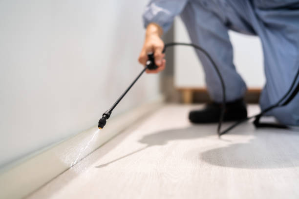 Licensed Termite Control service in North Augusta, SC - Nex Pest Control