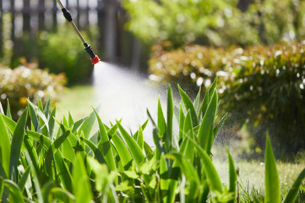 24/7 Emergency Termite Control experts in North Augusta, SC