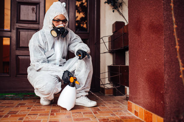Reliable Termite Control contractor in North Augusta, SC by Nex Pest Control