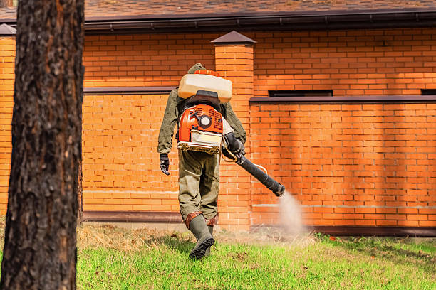 Trusted Termite Control service in North Augusta, SC - Nex Pest Control